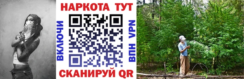 Где купить наркоту Балашов APVP  ГАШИШ  АМФ  Псилоцибиновые грибы  Конопля 