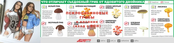дурь Алексин