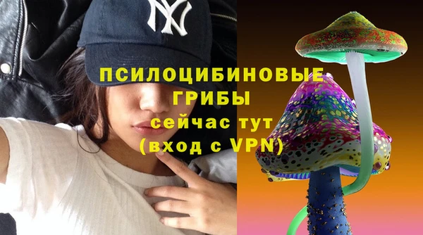 дурь Алексин
